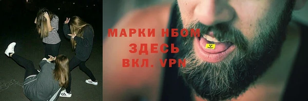 сатива Краснотурьинск