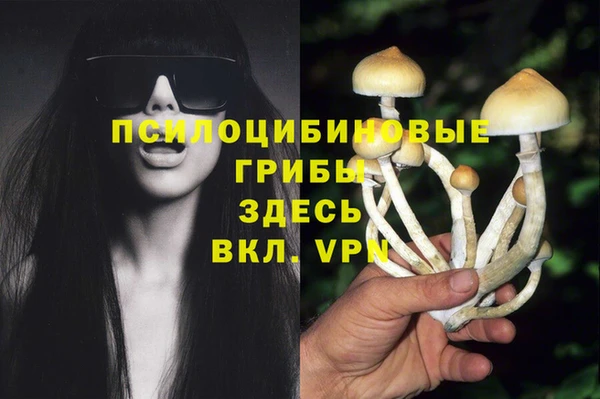 сатива Краснотурьинск