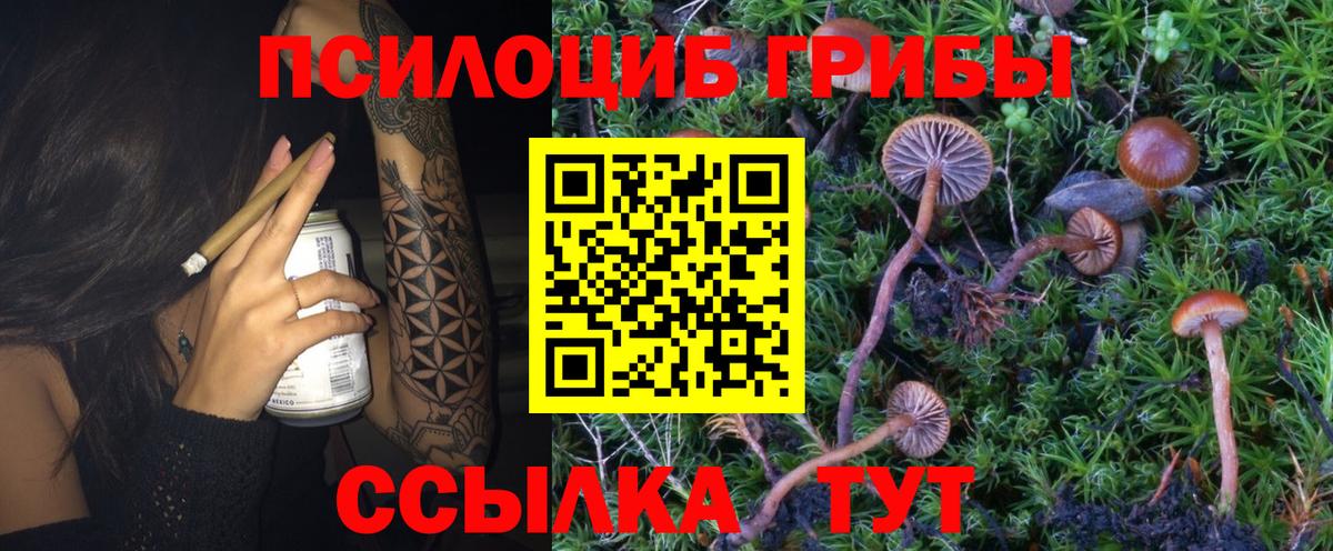 Псилоцибиновые грибы Magic Shrooms Урай